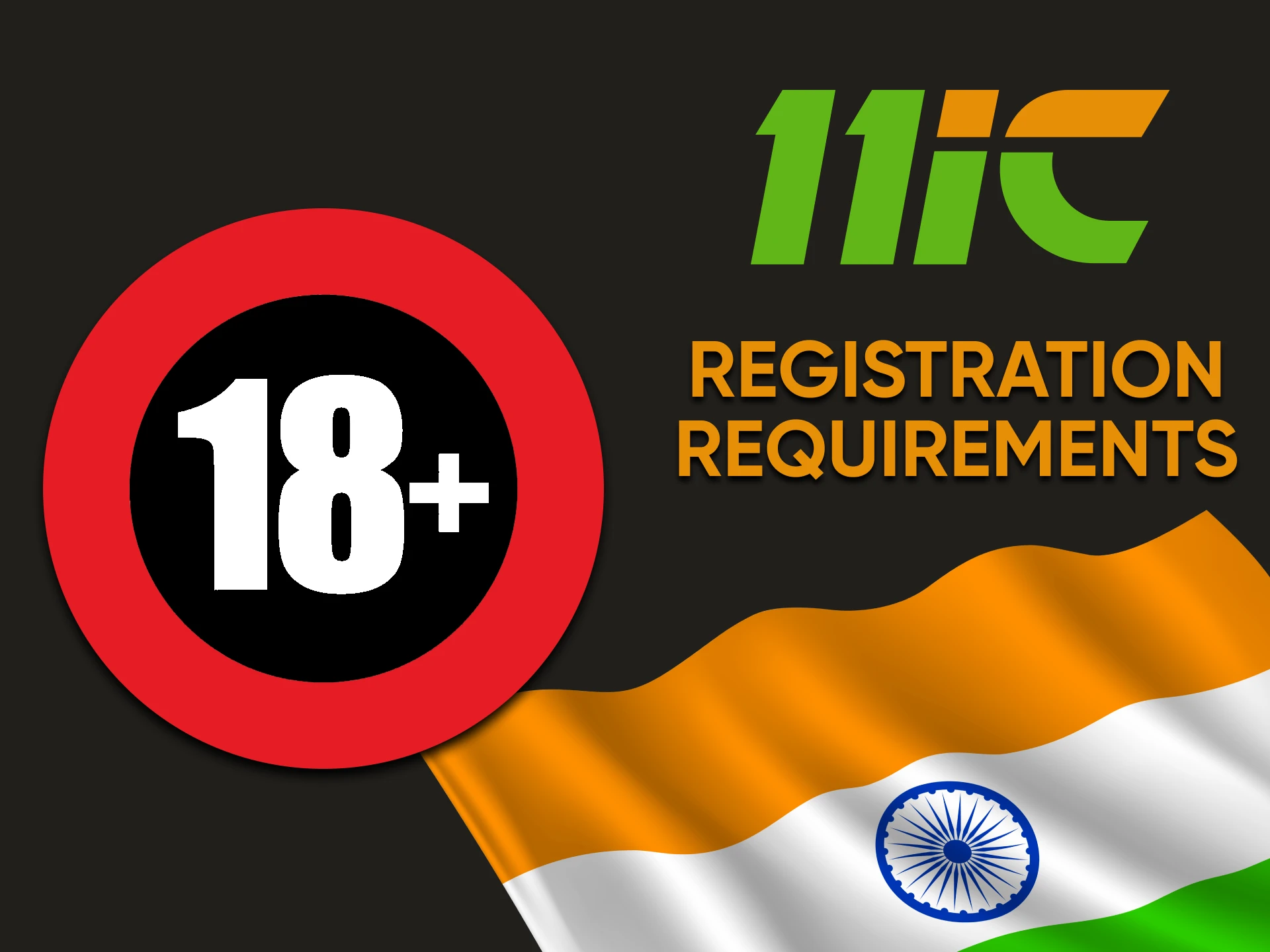 We will tell you about the requirements for registering for 11ic.