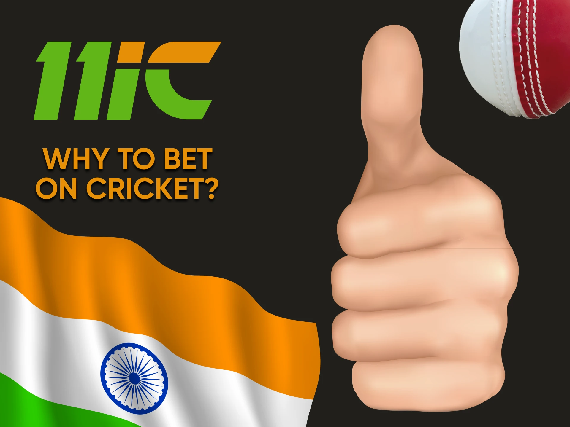 We will tell you why you choose 11ic for cricket betting.